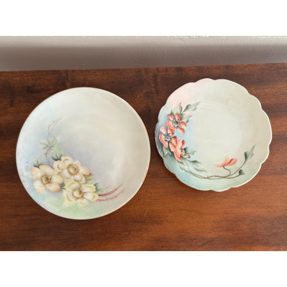 Vintage Bavaria Plates | 2 Bavaria Hand Painted Floral Plates